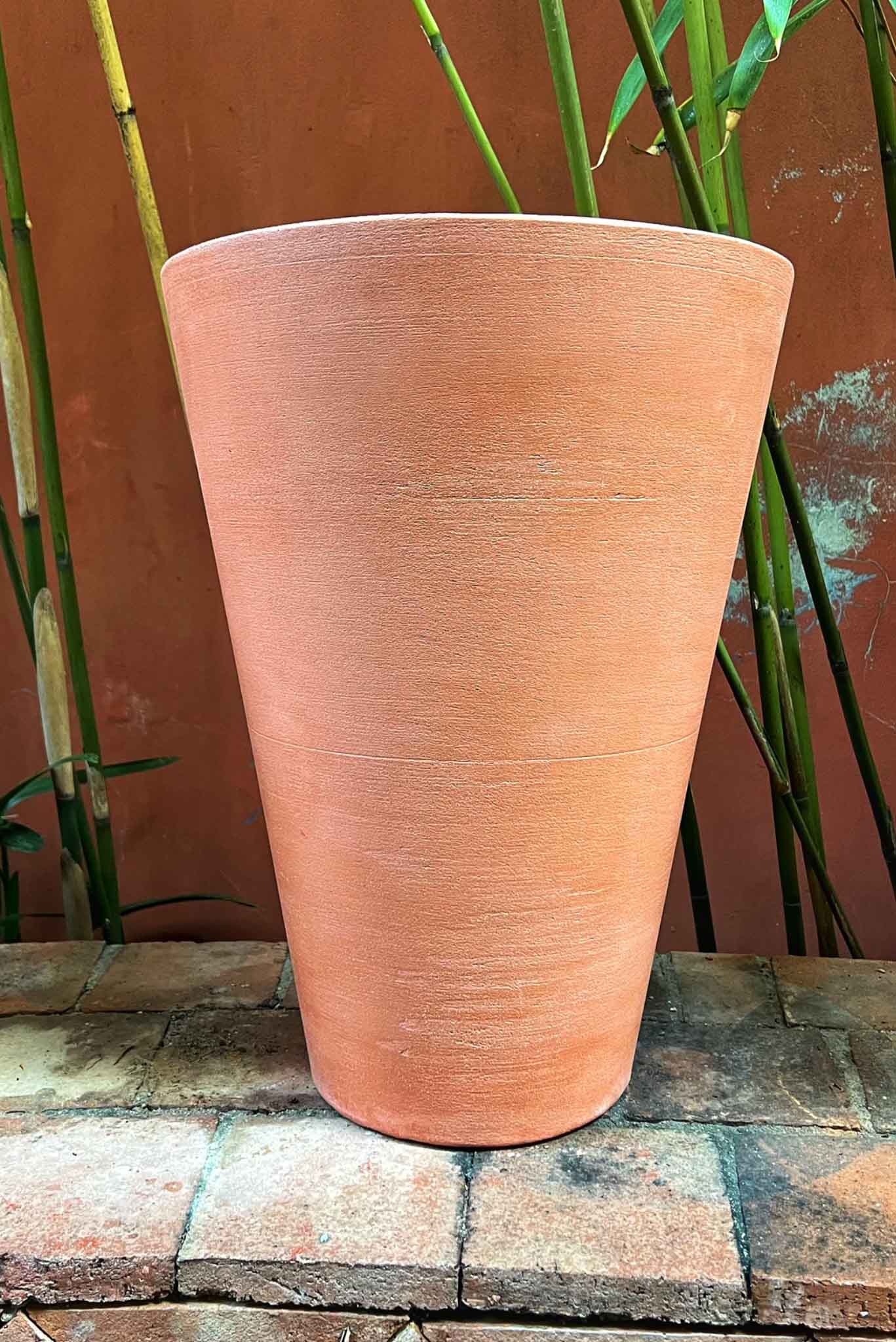 Vasi capienti per olivi e piante da frutto sul terrazzo