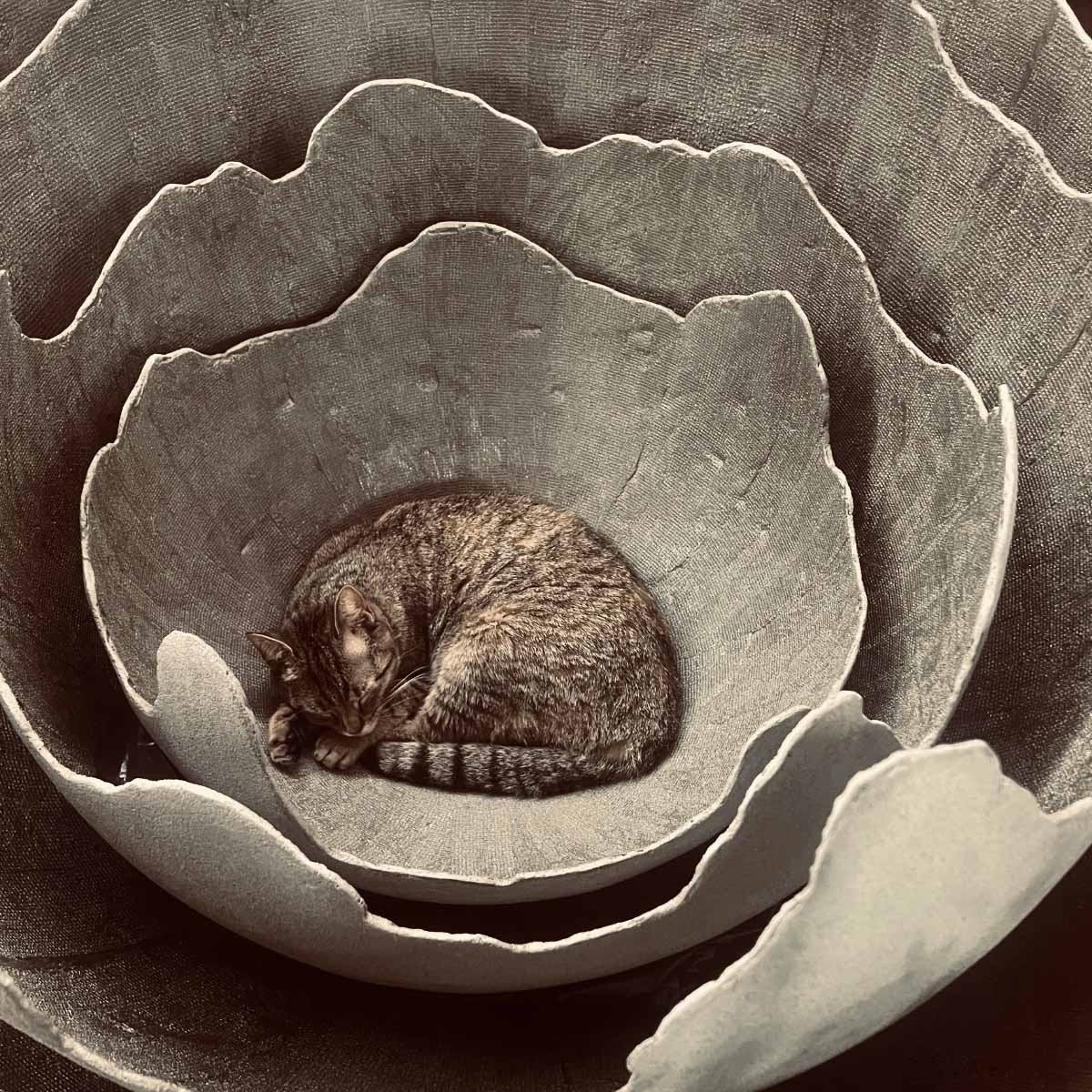 Installazione di lampade Lakota Black - Arredo contemporaneo