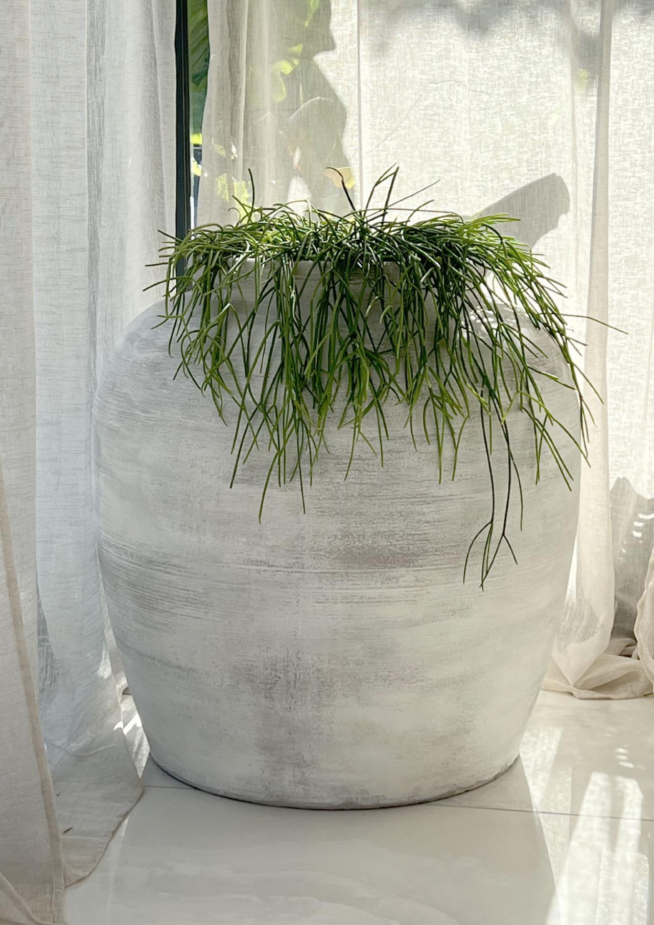 Fioriere rotonde XXL per ulivi bonsai e piante mediterranee